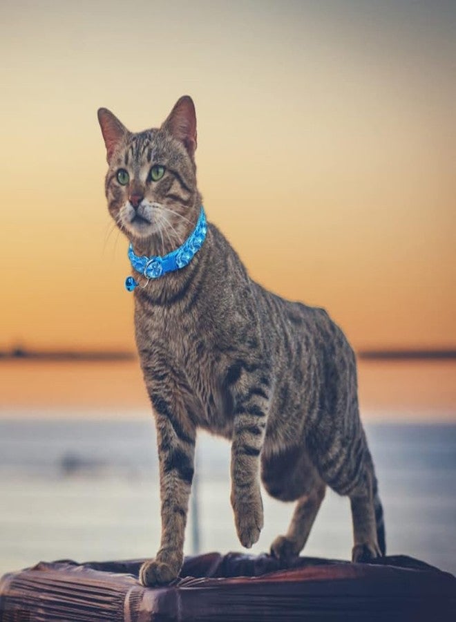 KittuPet مجموعة كيتو بيت من 4 قطع من أطواق تفاعلية من نوع ريبيون للقطط والجراء والكلاب، مقاس 10 مم، لون عشوائي - Image 4